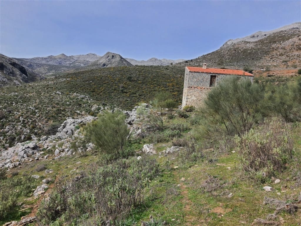 1 soveværelse Finca/Landehus til salg i Parauta - € 300.000 (Ref: 9326838)