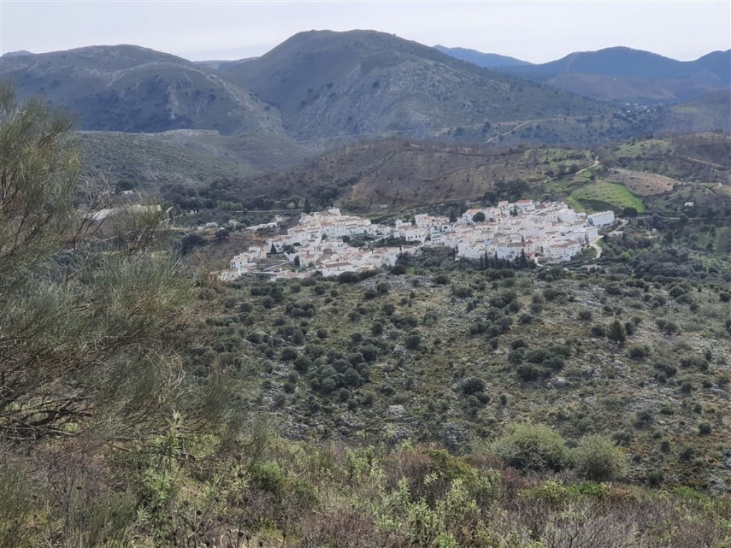 1 soveværelse Finca/Landehus til salg i Parauta - € 300.000 (Ref: 9326838)