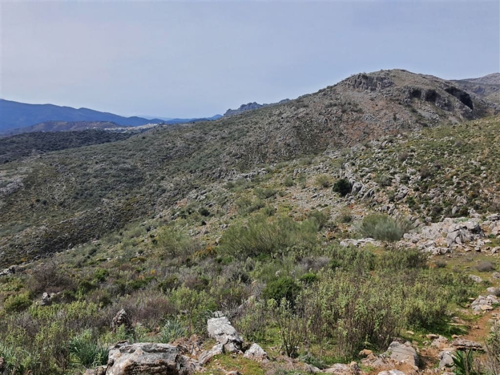 1 soveværelse Finca/Landehus til salg i Parauta - € 300.000 (Ref: 9326838)