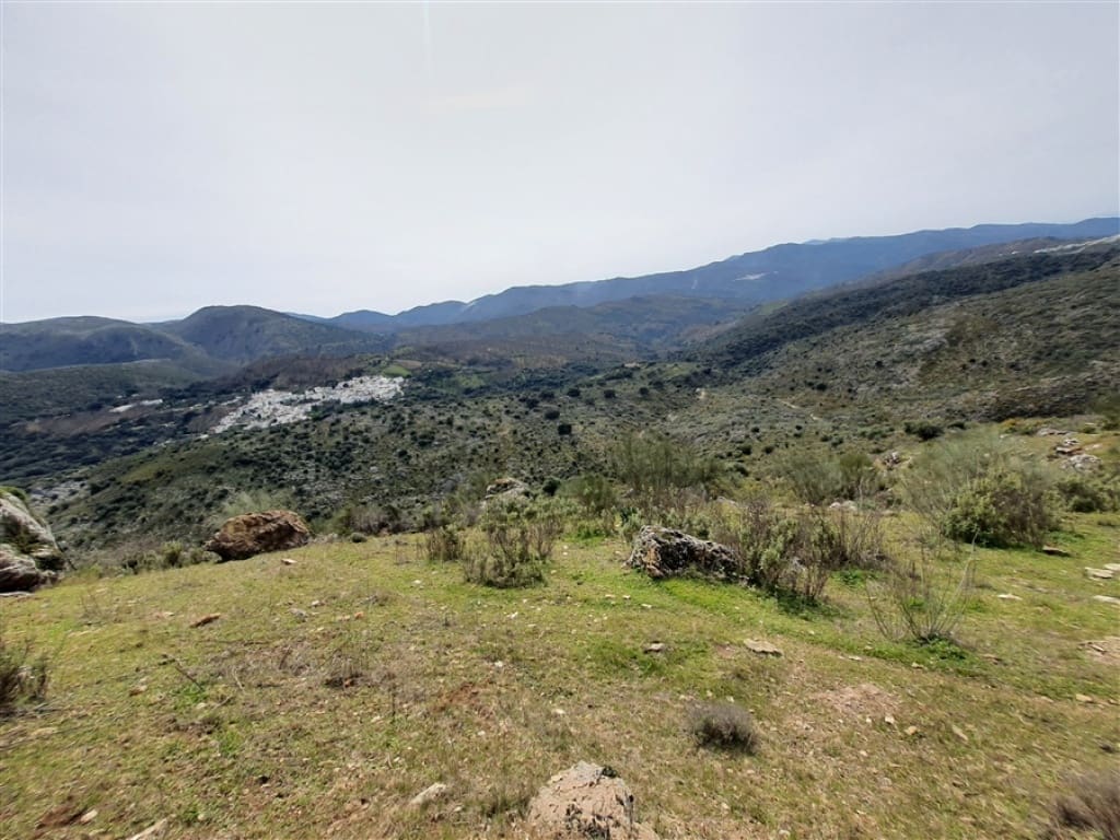 1 soveværelse Finca/Landehus til salg i Parauta - € 300.000 (Ref: 9326838)