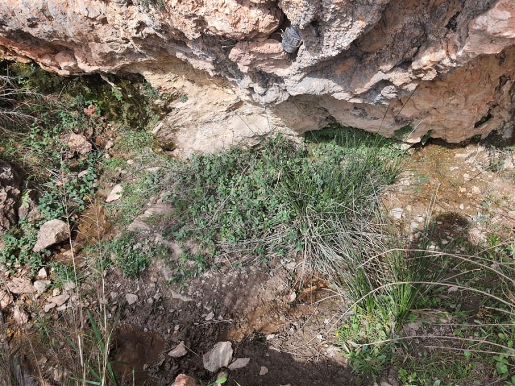 1 soveværelse Finca/Landehus til salg i Parauta - € 300.000 (Ref: 9326838)