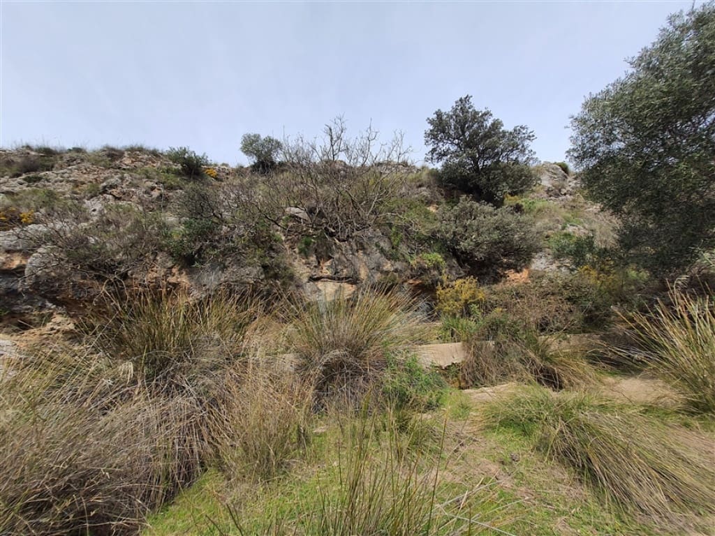 1 soveværelse Finca/Landehus til salg i Parauta - € 300.000 (Ref: 9326838)