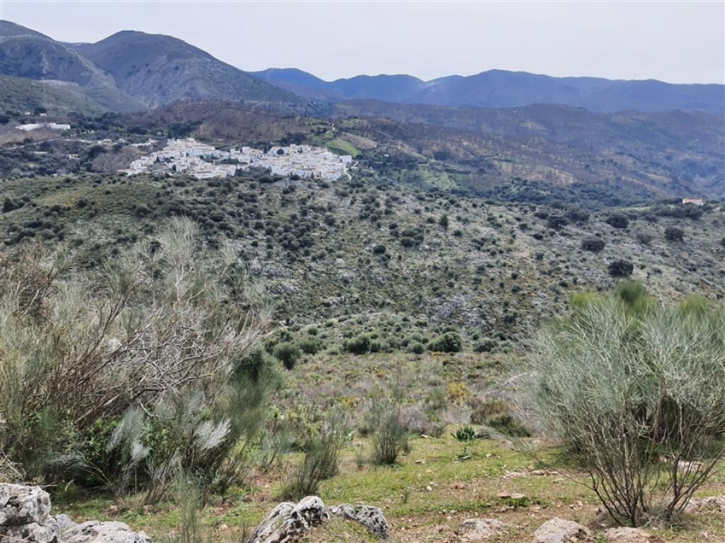 1 soveværelse Finca/Landehus til salg i Parauta - € 300.000 (Ref: 9326838)