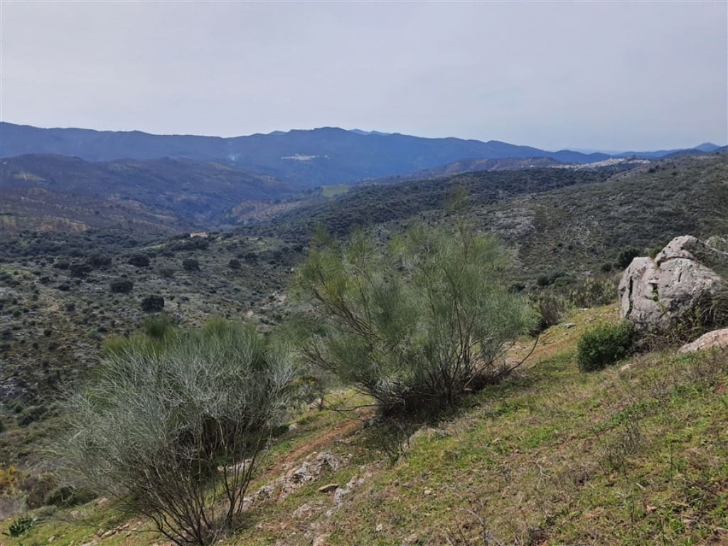 1 soveværelse Finca/Landehus til salg i Parauta - € 300.000 (Ref: 9326838)