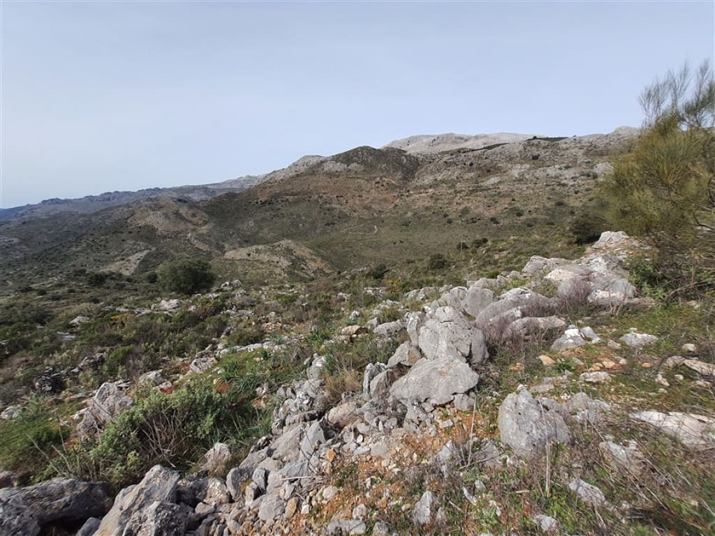 1 soveværelse Finca/Landehus til salg i Parauta - € 300.000 (Ref: 9326838)