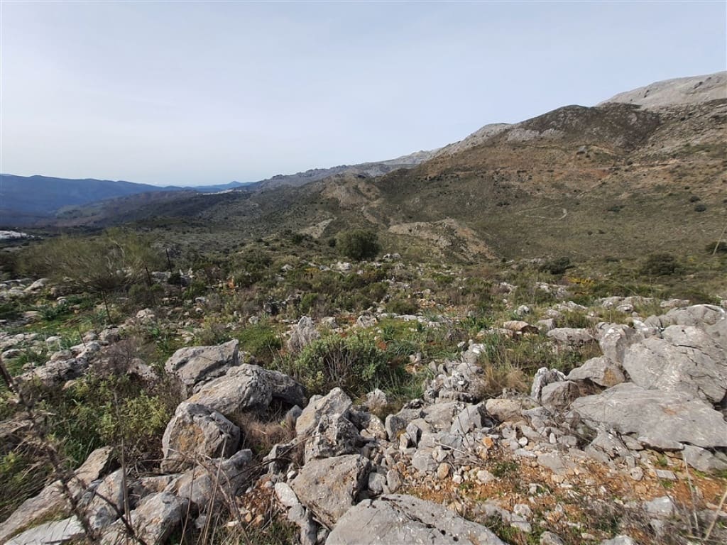 1 soveværelse Finca/Landehus til salg i Parauta - € 300.000 (Ref: 9326838)