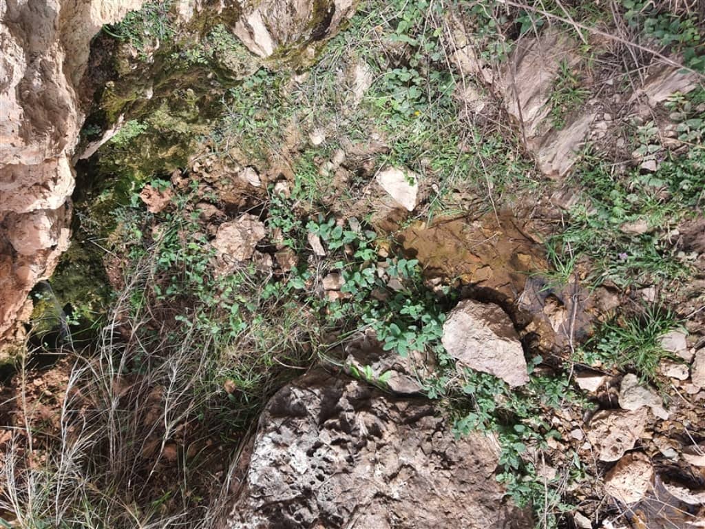 1 soveværelse Finca/Landehus til salg i Parauta - € 300.000 (Ref: 9326838)