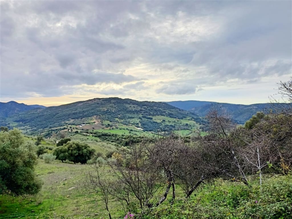 3 soveværelse Finca/Landehus til salg i Algatocin med swimmingpool - € 595.000 (Ref: 9326844)