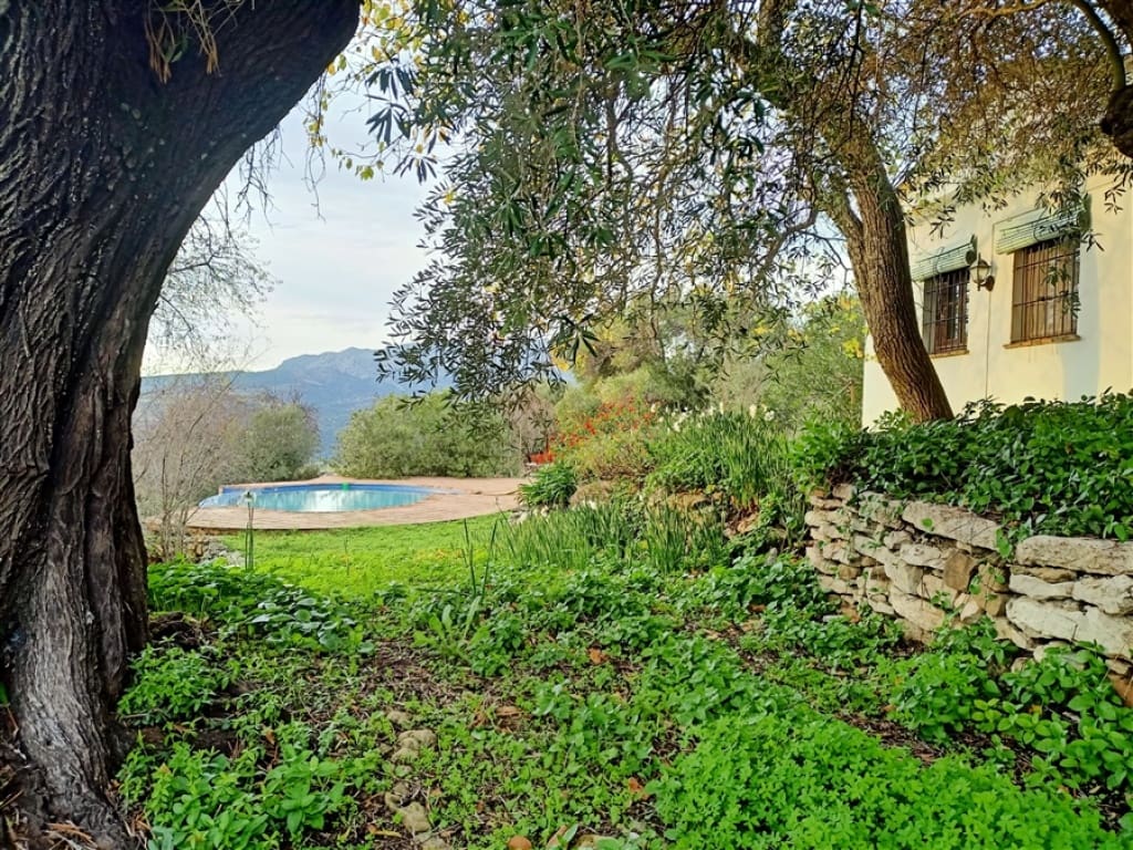 3 soveværelse Finca/Landehus til salg i Algatocin med swimmingpool - € 595.000 (Ref: 9326844)