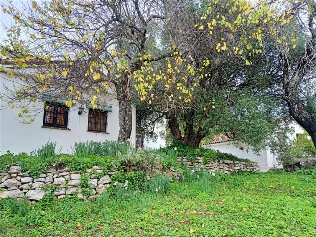 3 soveværelse Finca/Landehus til salg i Algatocin med swimmingpool - € 595.000 (Ref: 9326844)