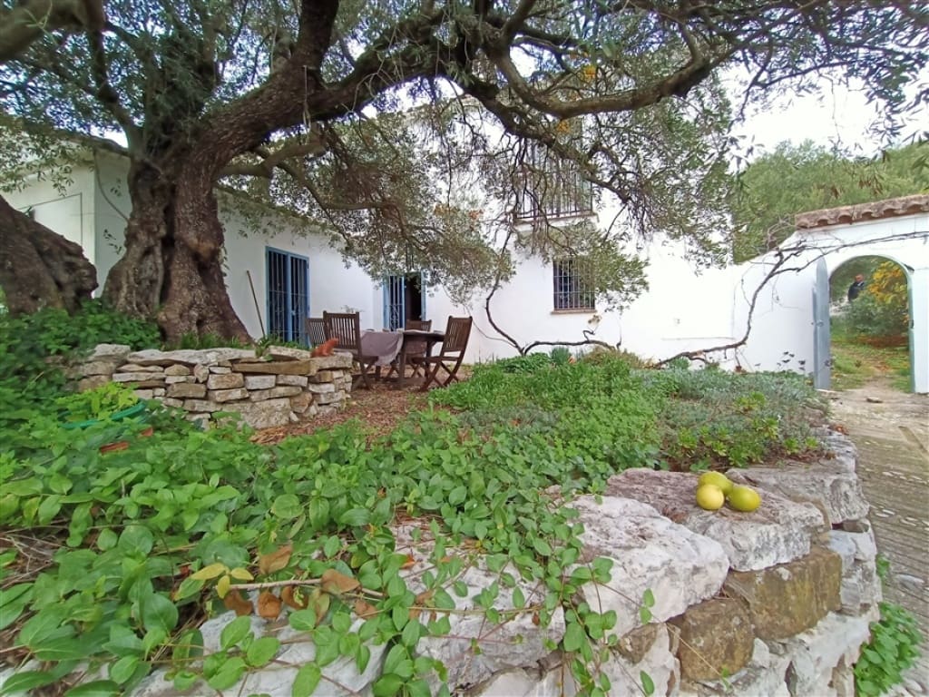 3 soveværelse Finca/Landehus til salg i Algatocin med swimmingpool - € 595.000 (Ref: 9326844)