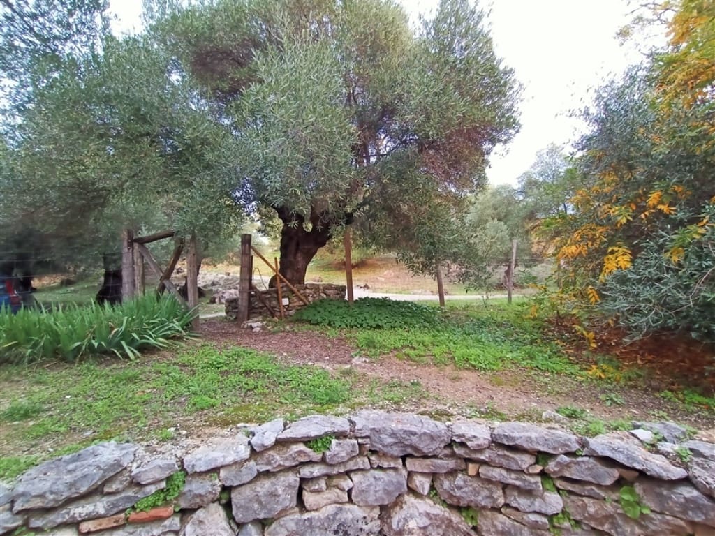 3 soveværelse Finca/Landehus til salg i Algatocin med swimmingpool - € 595.000 (Ref: 9326844)