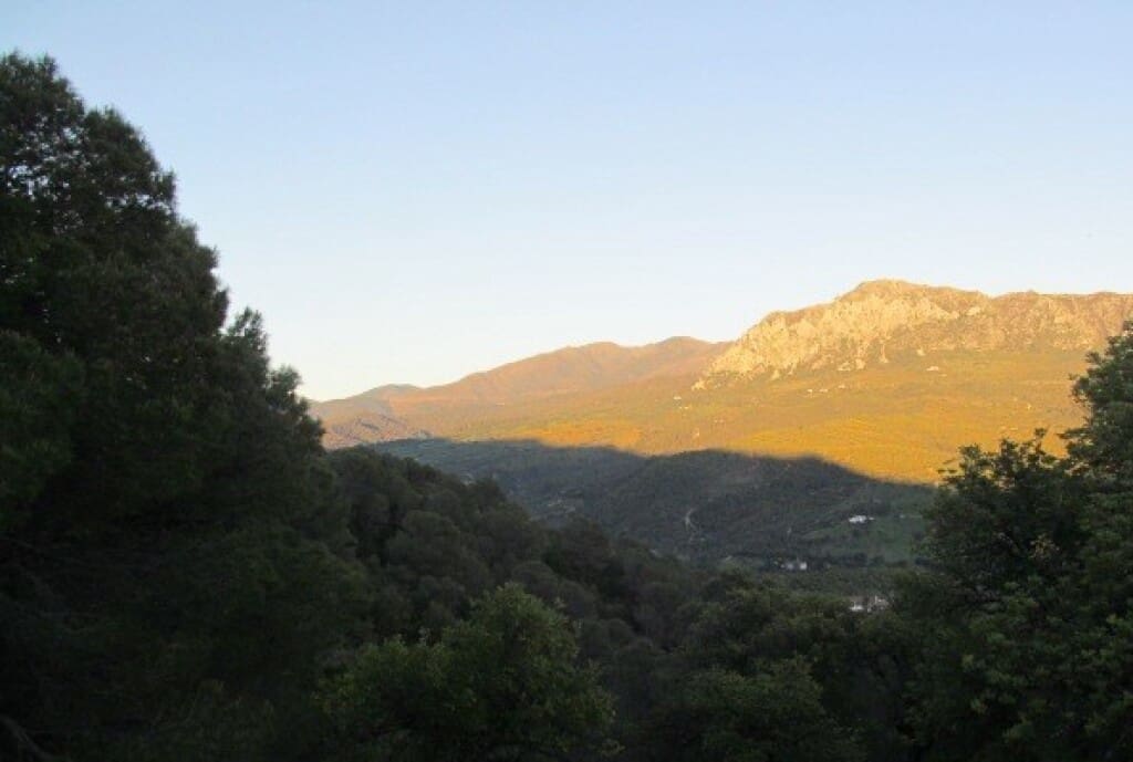 Finca/Casa Rural de 3 habitaciones en Gaucín en venta - 475.000 € (Ref: 9326847)