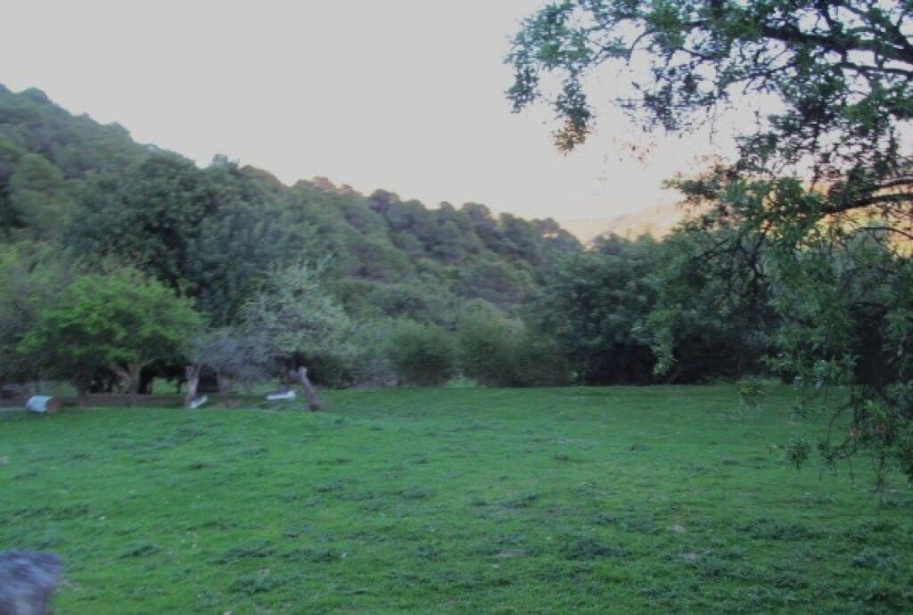 Finca/Casa Rural de 3 habitaciones en Gaucín en venta - 475.000 € (Ref: 9326847)