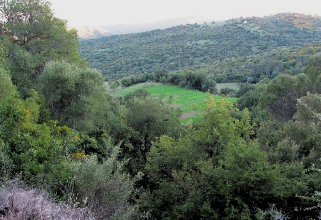 Finca/Casa Rural de 3 habitaciones en Gaucín en venta - 475.000 € (Ref: 9326847)