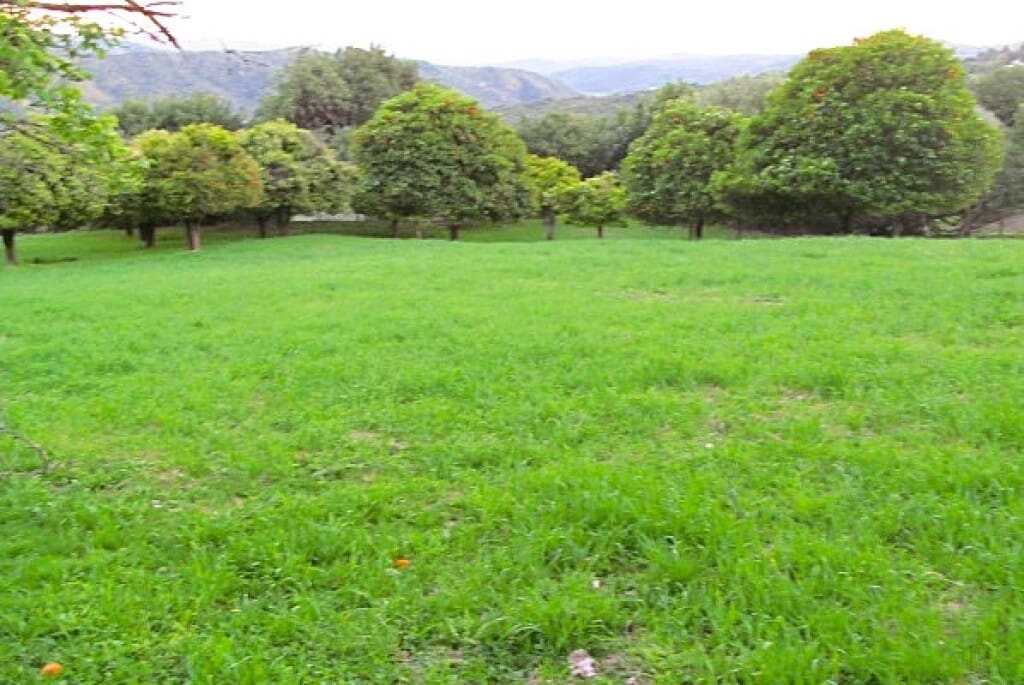 Finca/Casa Rural de 3 habitaciones en Gaucín en venta - 475.000 € (Ref: 9326847)