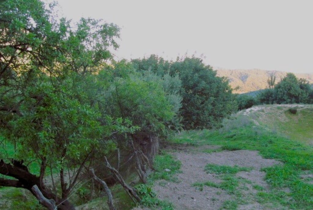 Finca/Casa Rural de 3 habitaciones en Gaucín en venta - 475.000 € (Ref: 9326847)