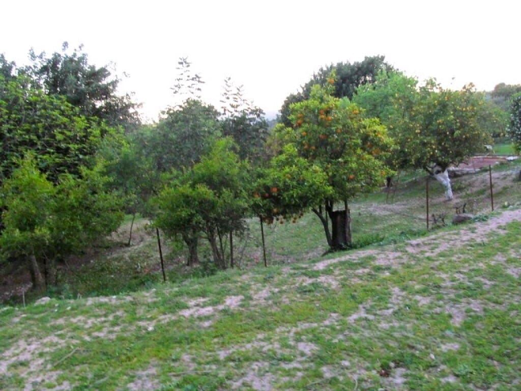 Finca/Casa Rural de 3 habitaciones en Gaucín en venta - 475.000 € (Ref: 9326847)