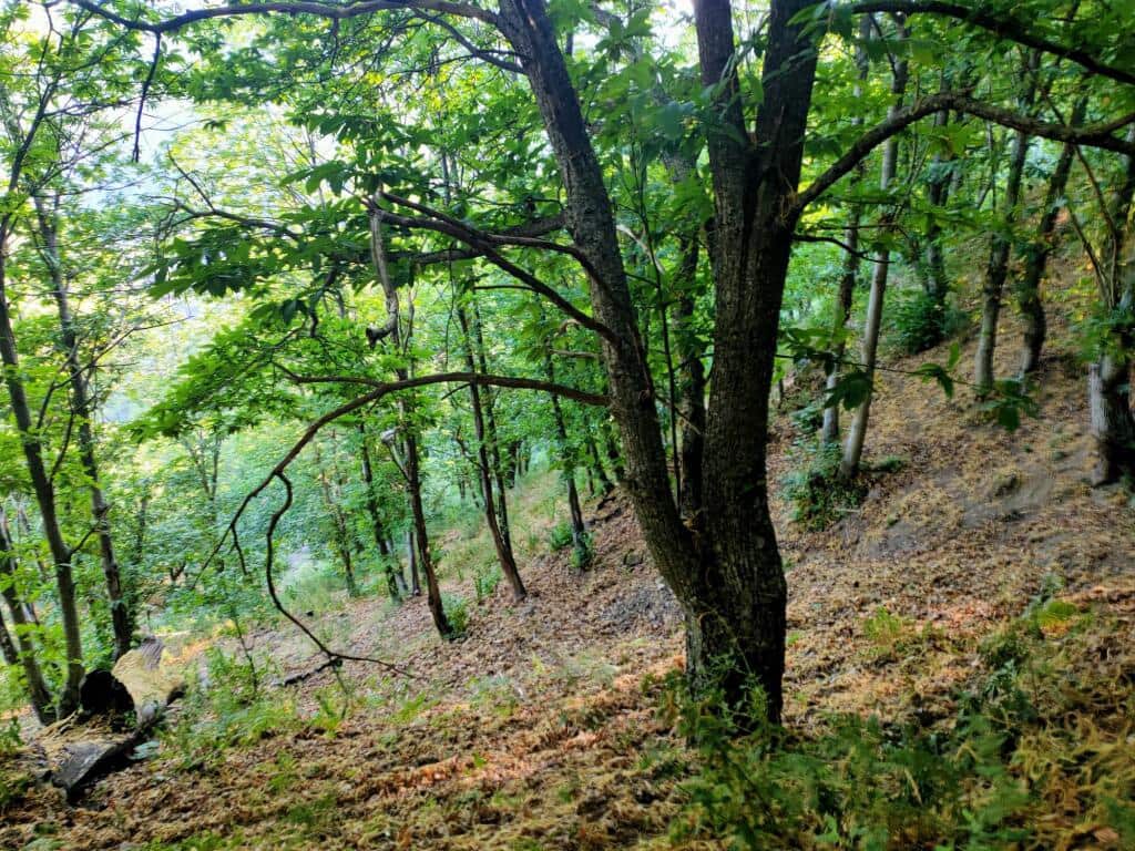 2 sovrum Finca/Hus på landet till salu i Jubrique - 265 000 € (Ref: 9326852)