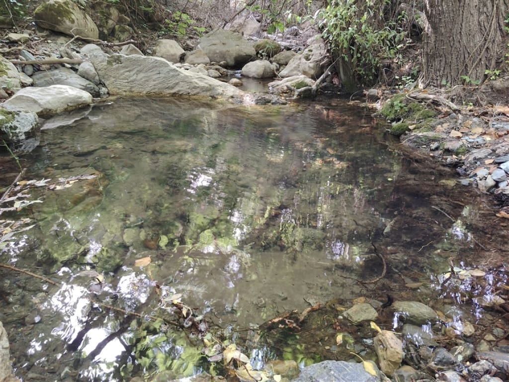 2 soverom Finca/Herregård til salgs i Cortes de la Frontera - € 200 000 (Ref: 9330474)