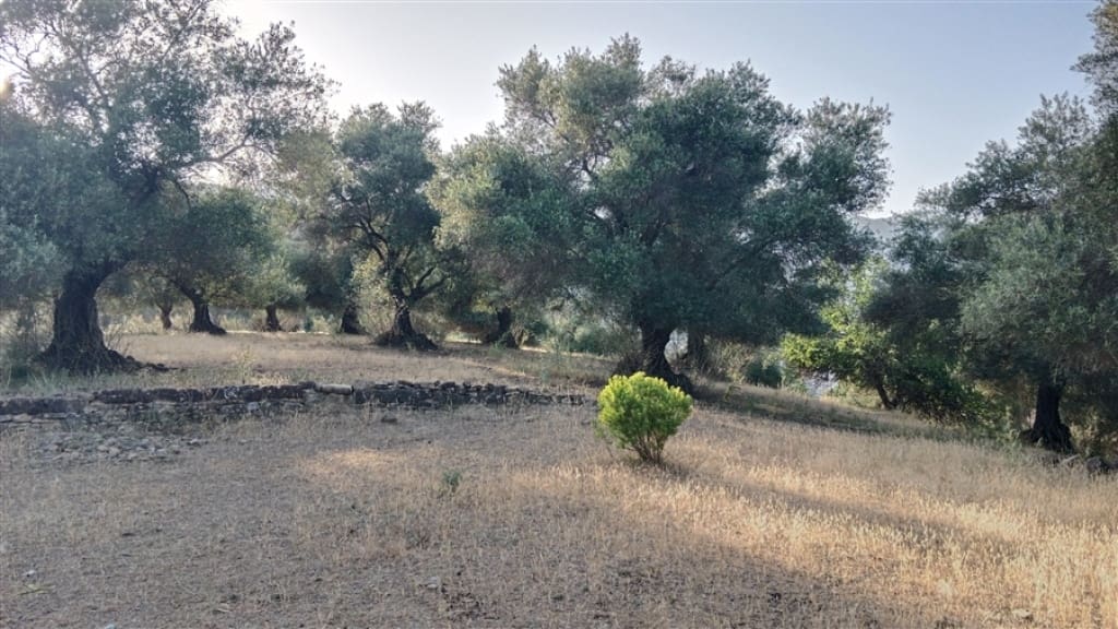 2 soverom Finca/Herregård til salgs i Cortes de la Frontera - € 200 000 (Ref: 9330474)