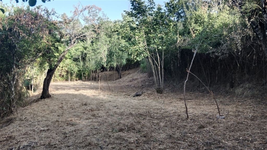 2 soverom Finca/Herregård til salgs i Cortes de la Frontera - € 200 000 (Ref: 9330474)