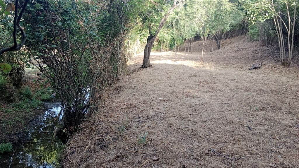 2 soverom Finca/Herregård til salgs i Cortes de la Frontera - € 200 000 (Ref: 9330474)