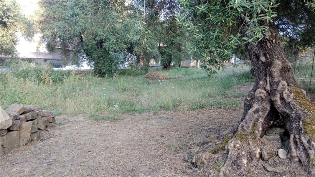 2 soverom Finca/Herregård til salgs i Cortes de la Frontera - € 200 000 (Ref: 9330474)