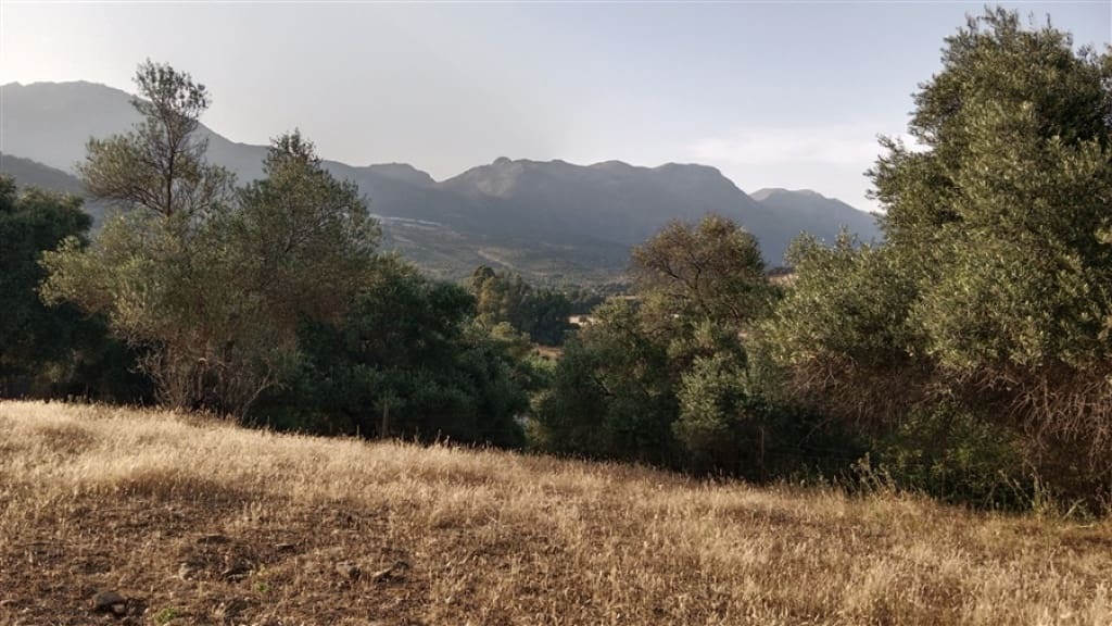 2 soverom Finca/Herregård til salgs i Cortes de la Frontera - € 200 000 (Ref: 9330474)