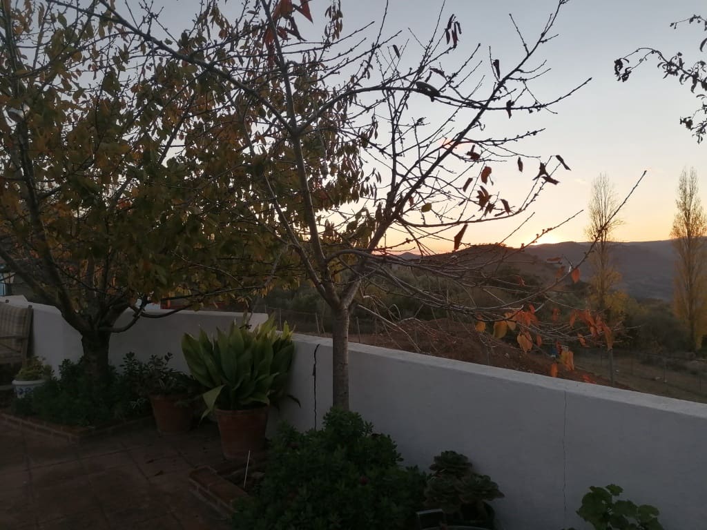 4 soveværelse Finca/Landehus til salg i Algatocin med garage - € 300.000 (Ref: 9331069)