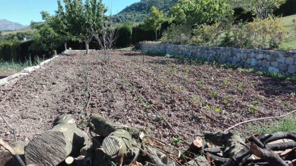 4 soveværelse Finca/Landehus til salg i Algatocin med garage - € 300.000 (Ref: 9331069)