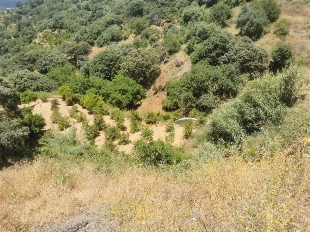 8 sovrum Finca/Hus på landet till salu i Jubrique med pool garage - 478 500 € (Ref: 9331073)