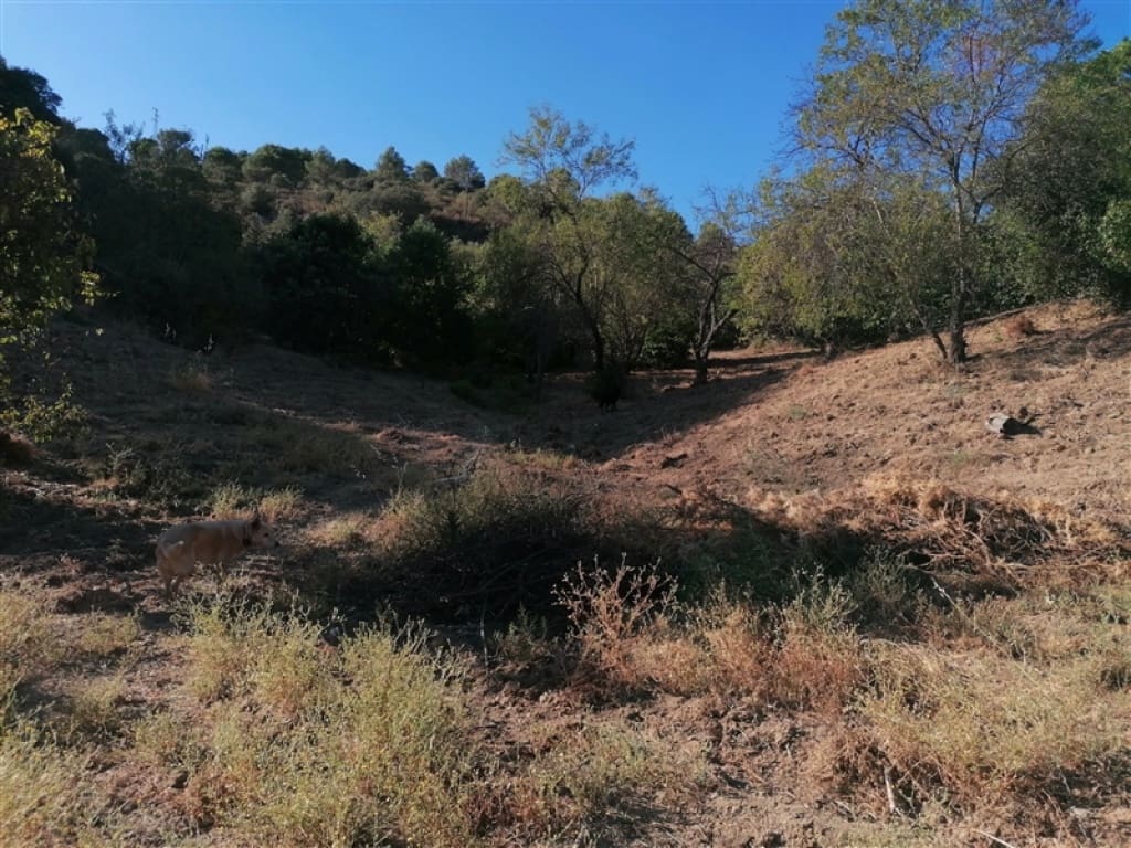 3 sovrum Finca/Hus på landet till salu i Juzcar med pool garage - 280 000 € (Ref: 9331083)