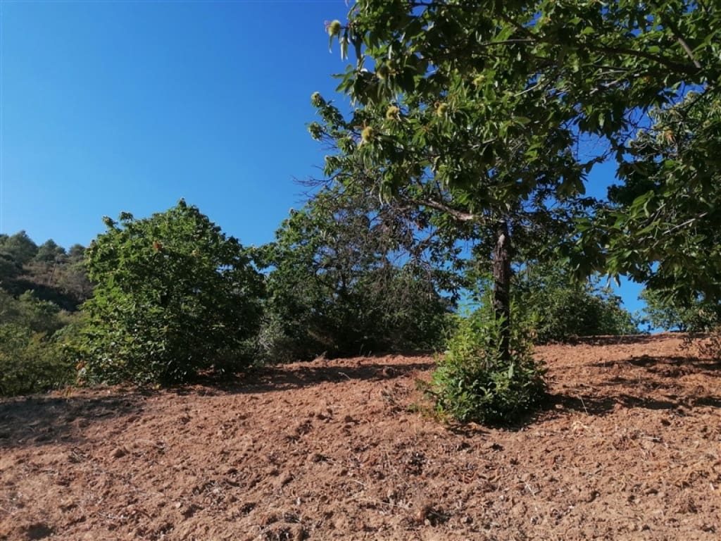 3 sovrum Finca/Hus på landet till salu i Juzcar med pool garage - 280 000 € (Ref: 9331083)