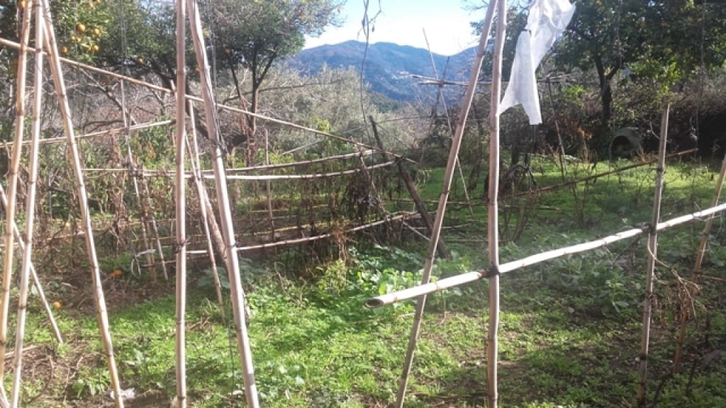 1 slaapkamer Finca/Landhuis te koop in Benarraba - € 120.000 (Ref: 9331090)