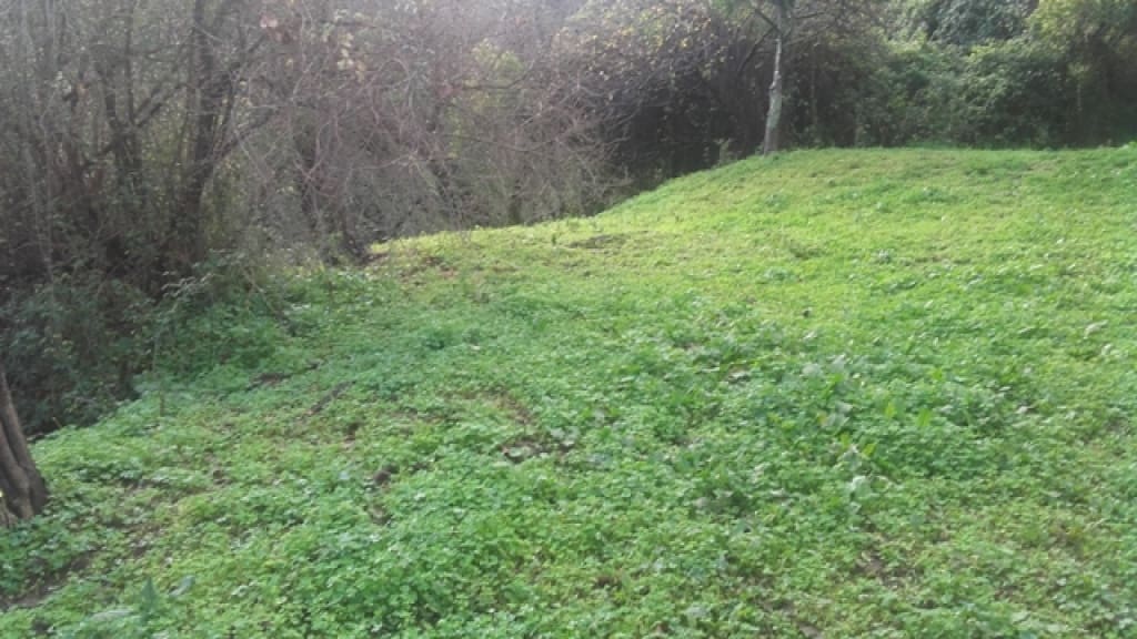 1 slaapkamer Finca/Landhuis te koop in Benarraba - € 120.000 (Ref: 9331090)