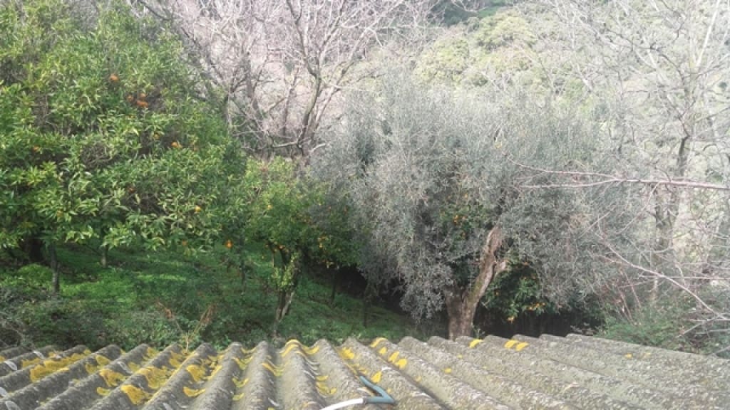 1 slaapkamer Finca/Landhuis te koop in Benarraba - € 120.000 (Ref: 9331090)