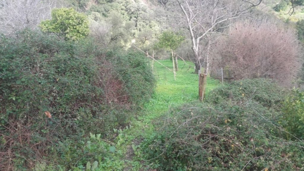 1 slaapkamer Finca/Landhuis te koop in Benarraba - € 120.000 (Ref: 9331090)