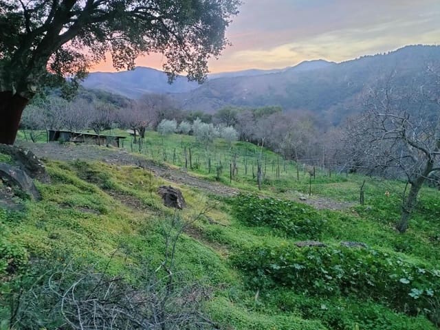 Ubebygd land til salgs i Jubrique - € 100 000 (Ref: 9331092)