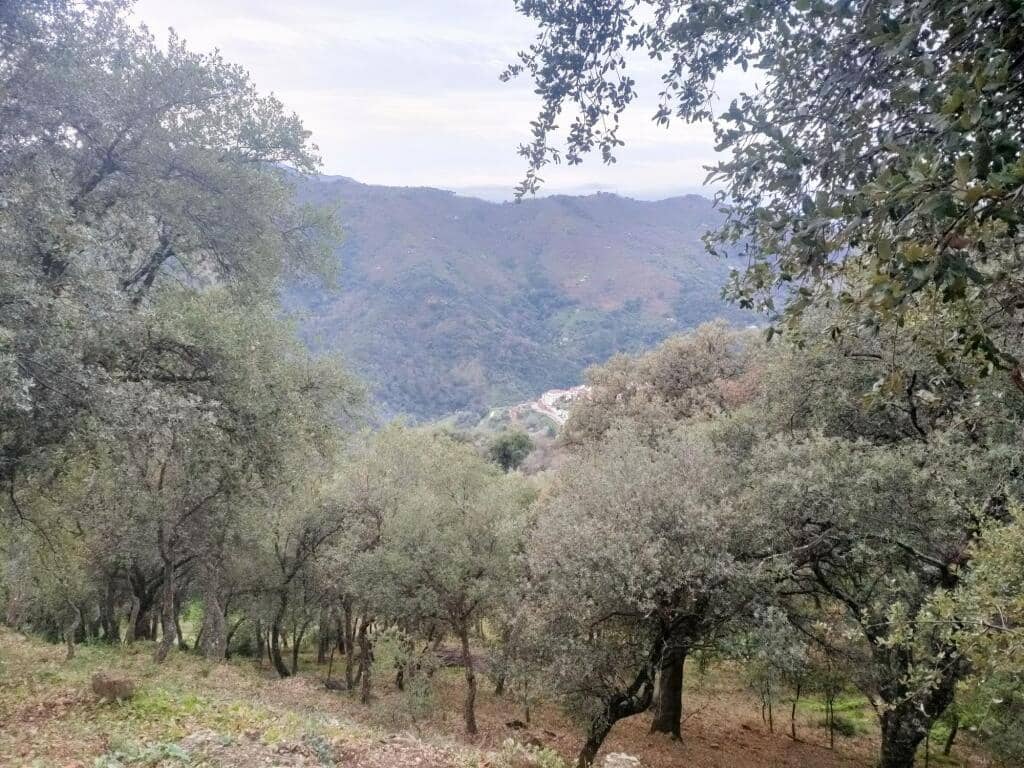 Ubebygd land til salgs i Jubrique - € 100 000 (Ref: 9331092)