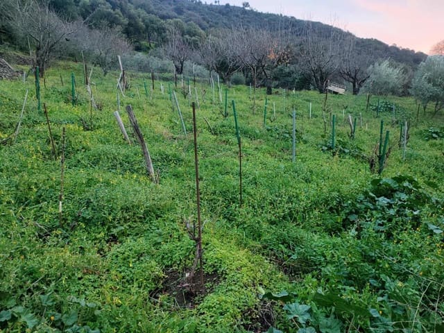 Ubebygd land til salgs i Jubrique - € 100 000 (Ref: 9331092)