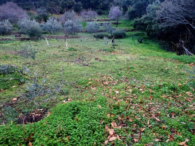 Ubebygd land til salgs i Jubrique - € 100 000 (Ref: 9331092)