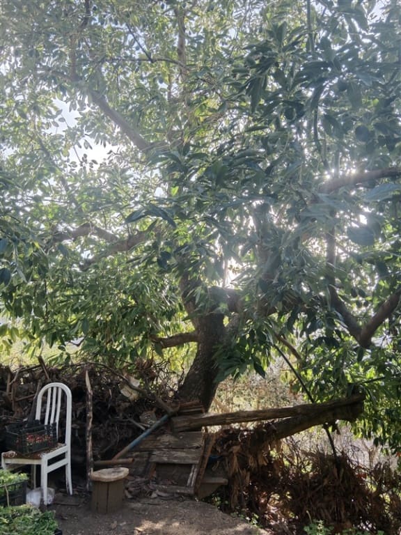 4 soveværelse Finca/Landehus til salg i Jubrique med swimmingpool garage - € 400.000 (Ref: 9331093)