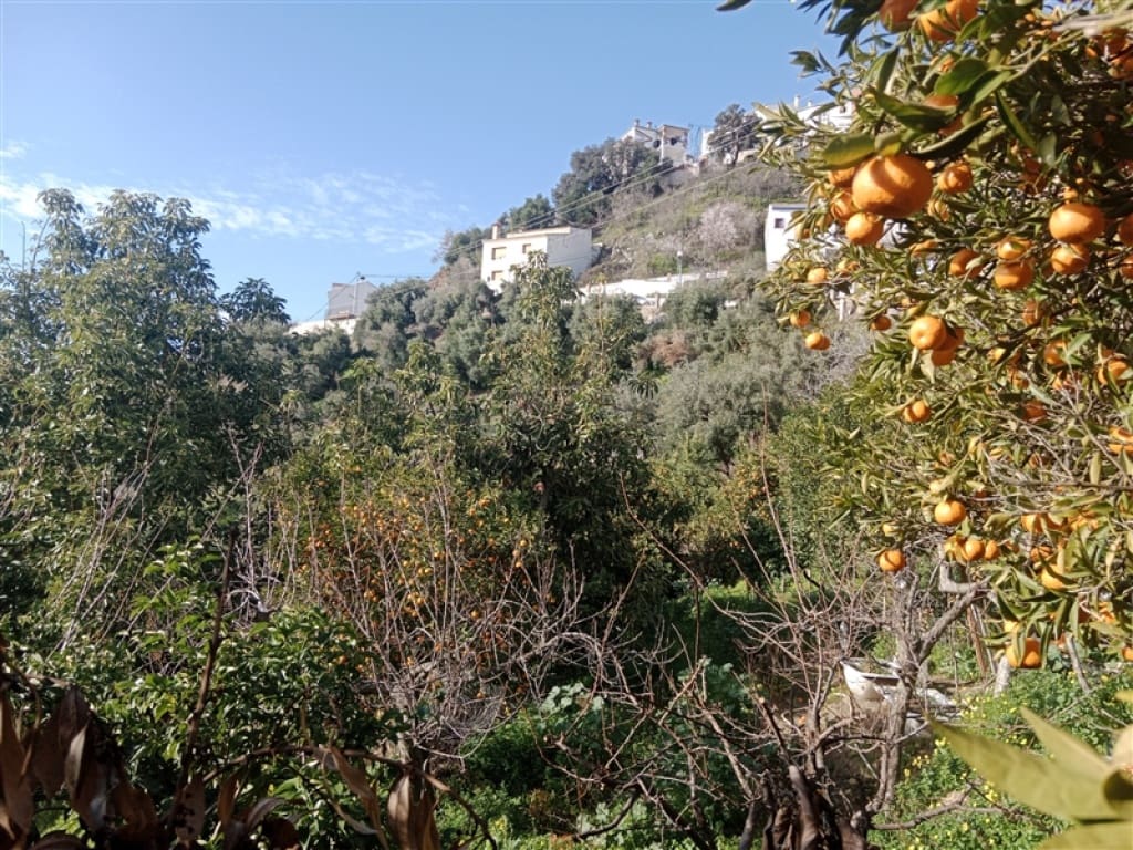 4 soveværelse Finca/Landehus til salg i Jubrique med swimmingpool garage - € 400.000 (Ref: 9331093)