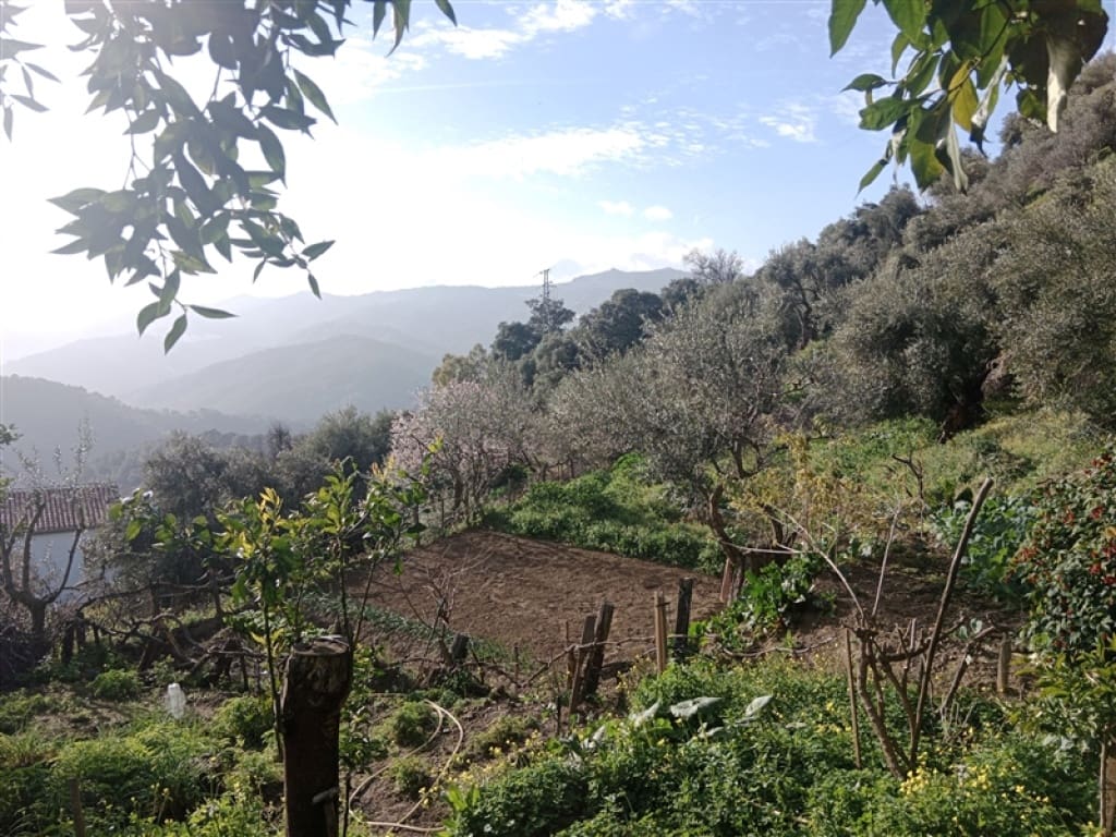 4 soveværelse Finca/Landehus til salg i Jubrique med swimmingpool garage - € 400.000 (Ref: 9331093)