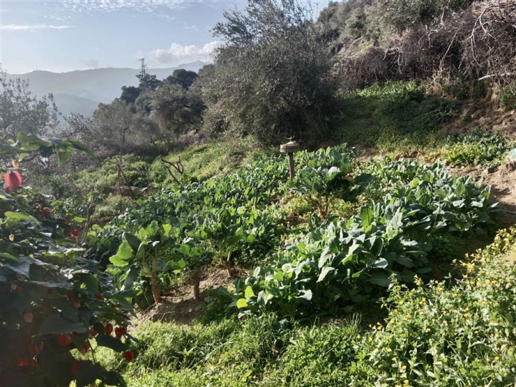 4 soveværelse Finca/Landehus til salg i Jubrique med swimmingpool garage - € 400.000 (Ref: 9331093)