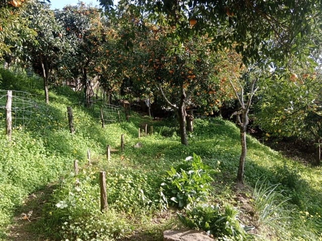 4 Zimmer Finca/Landgut zu verkaufen in Jubrique mit Pool Garage - 400.000 € (Ref: 9331093)