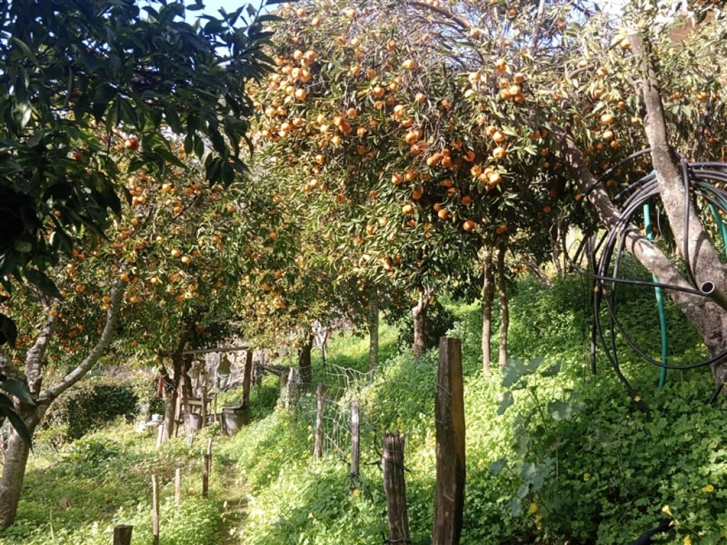 4 soveværelse Finca/Landehus til salg i Jubrique med swimmingpool garage - € 400.000 (Ref: 9331093)