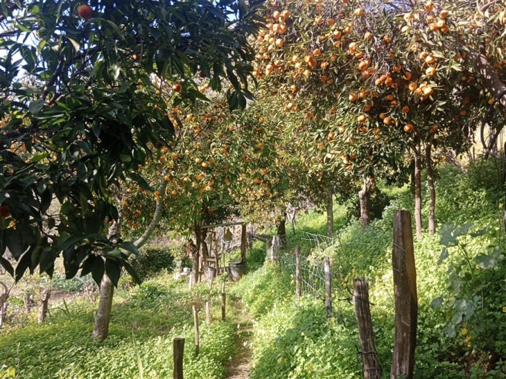 4 soveværelse Finca/Landehus til salg i Jubrique med swimmingpool garage - € 400.000 (Ref: 9331093)