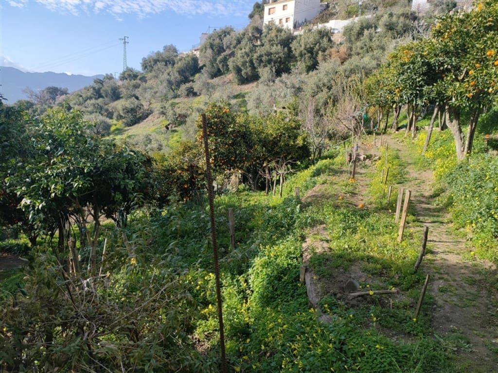 4 soveværelse Finca/Landehus til salg i Jubrique med swimmingpool garage - € 400.000 (Ref: 9331093)